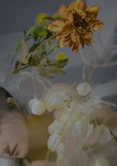 梅花三弄梅花烙_4K电影在线观看